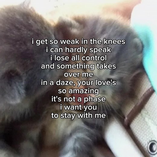 SWV Weak Lyrics Exploration