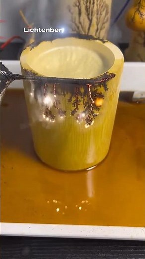 Why This Bamboo Is Burning Like Lightning?