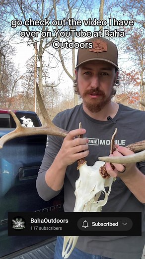Easy At-Home European Mount Guide for Hunters