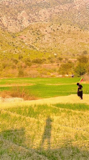 #foryou #fypシ゚viral