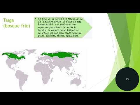 Biomas terrestres y marinos