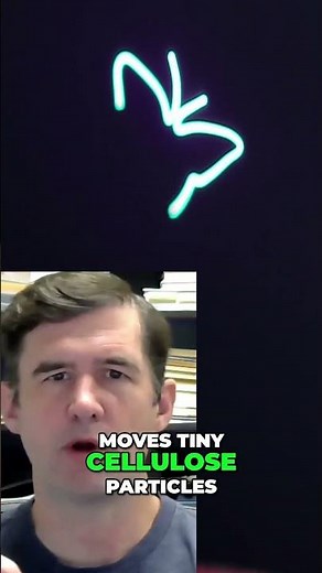 Real-Life Star Wars Tech? This 3D Display Floats in Thin Air