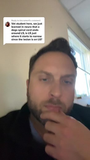 Understanding Dog Spinal Cord Anatomy: L5, L6, L7 Explained