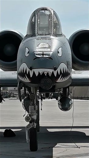 Reloading Process of Phalanx CIWS and the A-10 Warthog