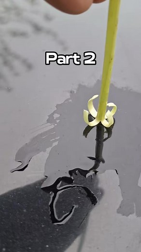 My Wife Texted From Vegas_ _Just Married My Coworker. You're Pathetic BTW. #reddit #redditstories #redditreadings #askreddit #reddit_tiktok #redditstorytime #storytime #foryou #fy | redditorhours