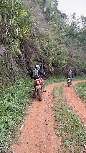 89K views · 1.2K reactions | Nothing like riding on muddy trail in #vietnam   North Vietnam -------------------------------- in bio for more info.  Speak to Alan and the crew +84985333066 #vietnambikers #vietnammotorbiketours #adventuretravel #adventure #hagiangloop #travel #vietnam #CRF300L #dirtbike #adv #moto #ride #bikers | 퐕퐢퐞퐭퐧퐚퐦 퐌퐨퐭퐨퐫퐜퐲퐜퐥퐞 퐓퐨퐮퐫퐬 | Facebook