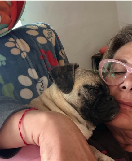 Mama is sick with a really bad cold 🤧 So my brother and I have been taking turns keeping watch and making sure she’s okay 💕 No walkies until mama feels better… AND on top of that it’s raining 🌧️ This puggie is NOT happy about that part. Very unfair. I will be filing a formal complaint soon. But mostly… we just want mama to feel better ❤️ Muahs 💋 #Petunia #PugLife #SickMama #NursePup #DogSiblings NoWalkies RainyDayBlues