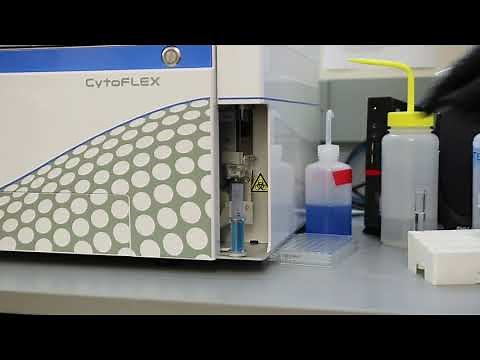 CytoFlex Flush/Shutdown