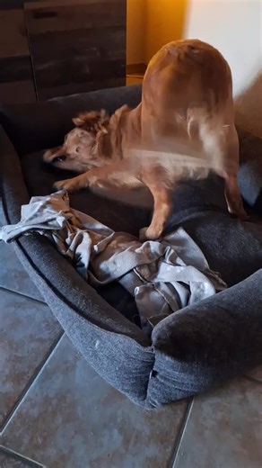 Thomas Volz (@thomas.volz)’s videos with sonido original - 𝙈𝙪𝙨𝙞𝙘🎧⚡