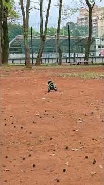 bike remote control.keren yah