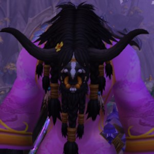 hiea Schedule - Twitch