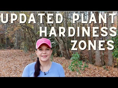 Updated Plant Hardiness Zones: What It Means For Your Garden