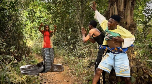 Honey Snake Girl: A Captivating Full HD Experience