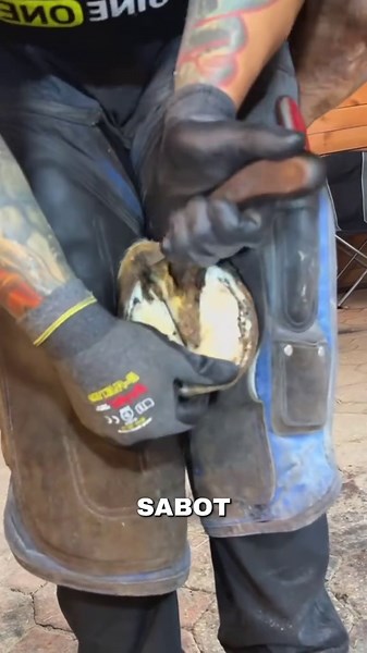 Ferrage d'Enzo : Sabots sales, légende vraie