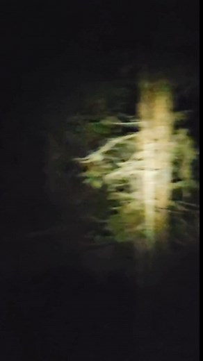 2.2K views · 37 reactions | Hiking alone in grizzly bear country at night… IYKYK  How do you stay calm when every twig snap in the darkness sounds like a bear? #FunnyButTrue #Mountains #Montana #Grizzly #Darkness #AnyoneWhoseEverBeenTrulyStalkedByAPredator #TheAdventureCowboy | The Adventure Cowboy | Facebook