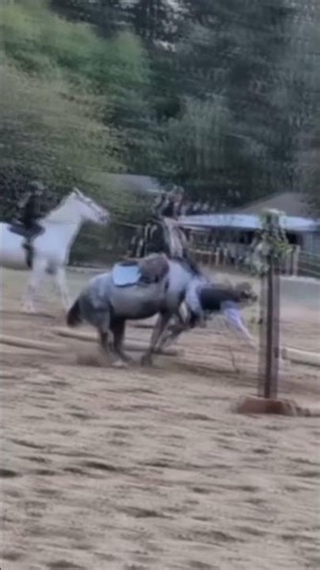 the ground is my bff #fypviralシ #equestrian #equestrianvibes #horseenthusiast #horseriding #fail