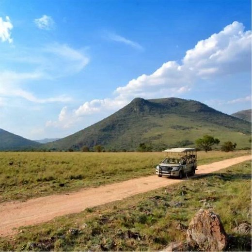 Only 13km from Lanseria Airport. Kids under 12 FREE on all guided tours and self-drives. | Lion & Safari Park