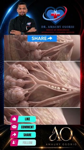 🍼El Asombroso Poder de la Lactancia Materna: Así Produce Tu Cuerpo el Alimento Perfecto para Tu Bebé