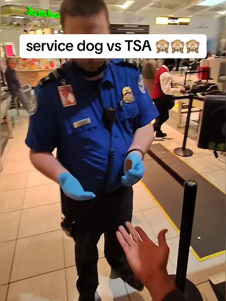TSA Service Dog Check: Doberman's Airport Security Routine