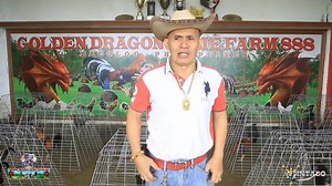 24K views · 1.2K reactions | 888/Eto Na PARTNER BOY TISOY. Candidate For Stag Derby. My Personal Selection All Line Stag Warriors. For This Coming December 9,11,12 In Manila. Sana Samahan Ng Bwenas At Wag Lubayan Ni Lady Luck Hanggang Sa Dulo Maraming Salamat Po Mga Kasabong殺 | Antonio Burburan | Facebook