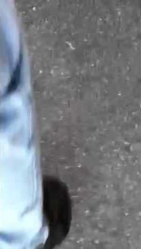 Silent Knight 5207 fire alarm system