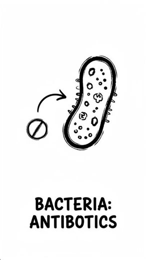 Pathogen classification