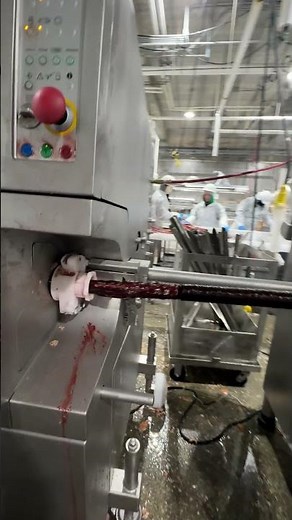 HANDTMANN HVF 658 Vacuum Stuffing Line from M&M Equipment item 10604