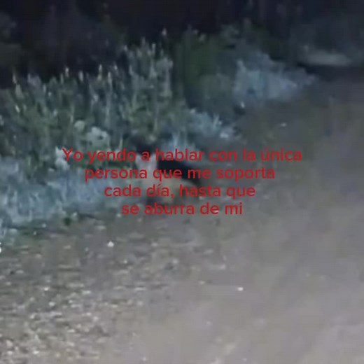 #textorojo #textorojo #viral #parati #fyp #dedicarvideos♡ #viral #parati #fyp #viral #fyp #parati #dedicarvideos♡ #viral #fyp #parati #textorojo #textorojo #dedicarvideos♡ #fyp #fyp #textorojo #parati #viral #fyp