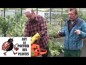 Use a Chainsaw - Test the Varan Motors TT CS5800.