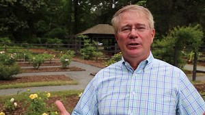 God's grace is right here, right now. Savor it. | Alan Wright Ministries
