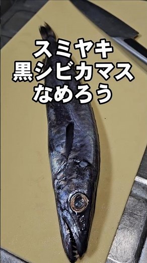 Incredibly delicious! Sumiyaki (black barracuda) namero, deep sea fish, fish dishes, snack recipe...
