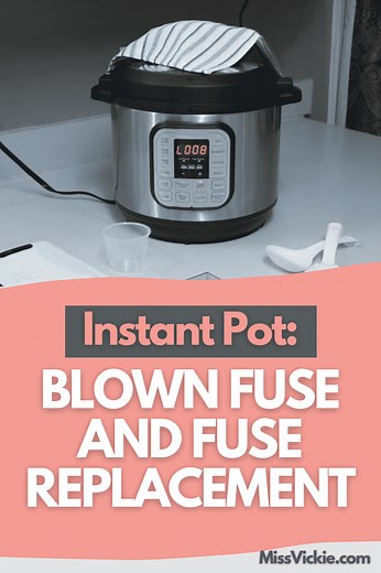 Instant Pot Blown Fuse and Fuse Replacement - Miss Vickie