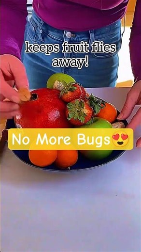 3 Hacks to Keep Fruit Flies & Mice GONE 🫣 #hack