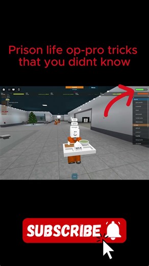 PRISON LIFE TIPS THAT ALL PROS MUST KNOW