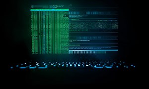 Chasing internet gangsters