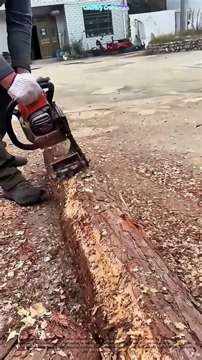 Speeding Up Wood Prep: How a Log Peeler Transforms Logs in Minutes