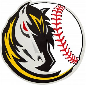 SoCal Mavericks | Valencia, CA 91355 | Youth Select & Showcase Travel Sports Teams