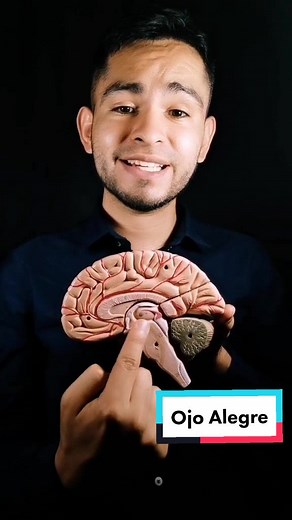 Qué es Ojo Alegre y su Significado | Psicólogo Marco Rosas
