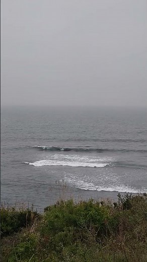 海の中道海浜公園1