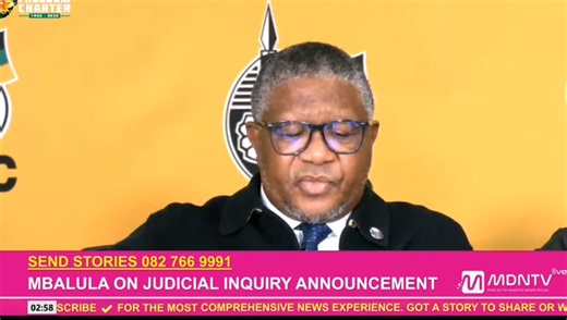 ANC Secretary-General Fikile Mbalula has confirmed that Police Minister Senzo Mchunu has not appeared before the party’s Integrity Commission, nor has there been any engagement with the body, following serious allegations made by Lieutenant-General Nhlanhla Mkhwanazi. | MDN News