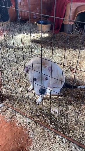 24 reactions · 4 comments | My crew asked could we move to Florida the weather here is weird! | James Jones | Facebook