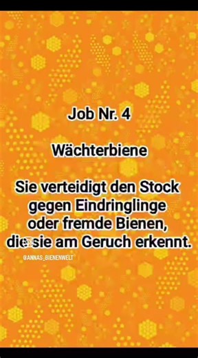 Bienen-Jobs in einem Bienenvolk