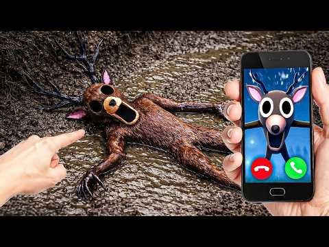 Who Murdered the Deer from 99 Nights in the Forest?