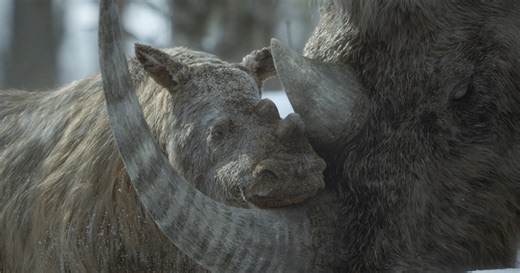 Prehistoric Planet: Ice Age - Trailers & Videos - Apple TV Press
