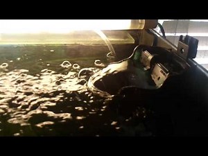 TETRA TEC / EASY CRYSTAL FILTER Tetratec 250 moje akwarium