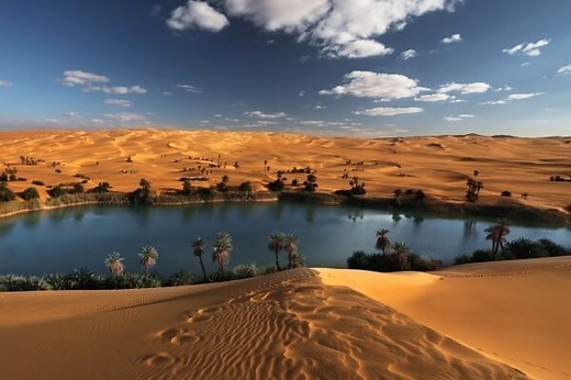 Qué es un oasis | Cómo se forman los oasis y sus características |