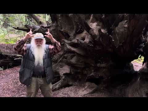 Inosculation and the importance of interconnection.