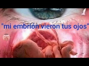 salmos 139 :16 mi embrión vieron tus ojos