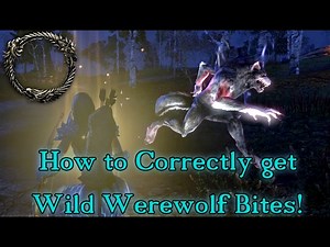 How to Correctly Deal with Wild Werewolves! ESO : NPC Bites!