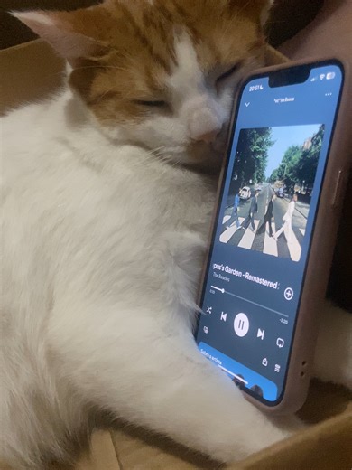 Exploring Octopus’s Garden by The Beatles